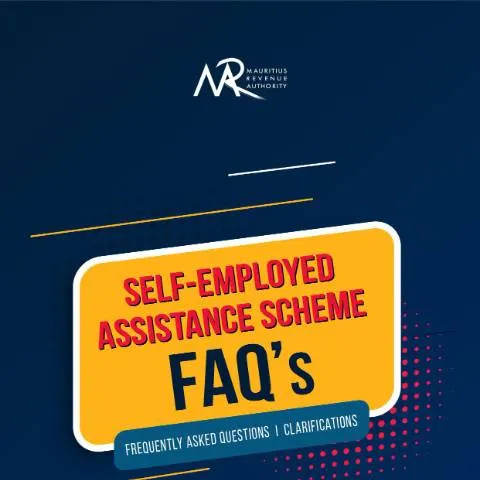 Document preview: Essential FAQs on the Self-Employed Assistance Scheme (SEAS) — Taxes (CERFA n°FAQSSEAS)