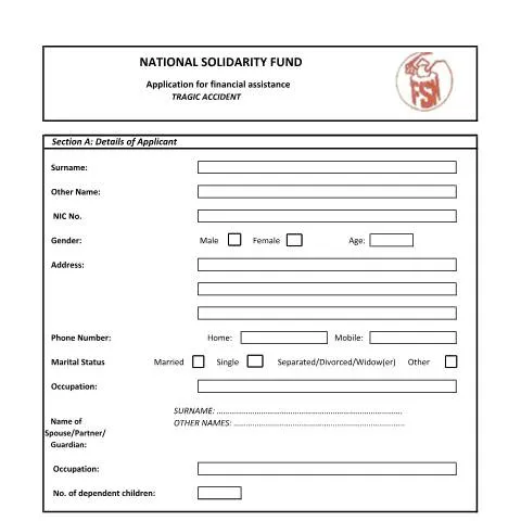 Document preview: Essential Guide to the Tragic Accident Form for Financial Aid — Health (CERFA n°Tragic-Accident)
