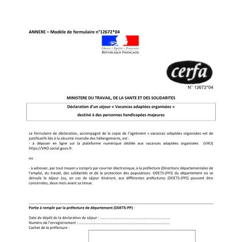 Aperçu du document Vacances adaptées organisées : déclaration obligatoire — Démarches administratives (CERFA n°12672*04)