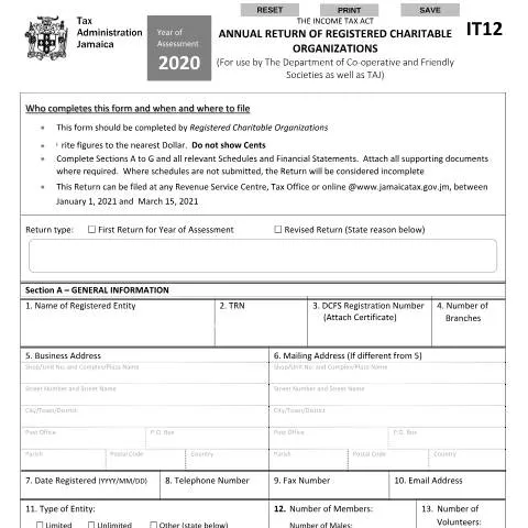 Document preview: Understanding the IT12 2020 Form for Jamaican Charities — Taxes (CERFA n°IT12_2020)
