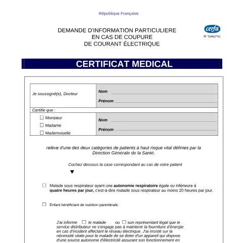 Aperçu du document Formulaire 10402*02 : sécuriser les patients électro-dépendants — Santé (CERFA n°10402*02)