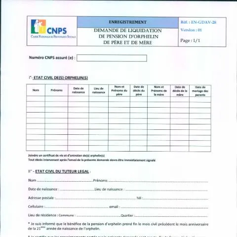 Aperçu du document Guide pour la demande de pension d'orphelin en Côte d'Ivoire — Démarches administratives