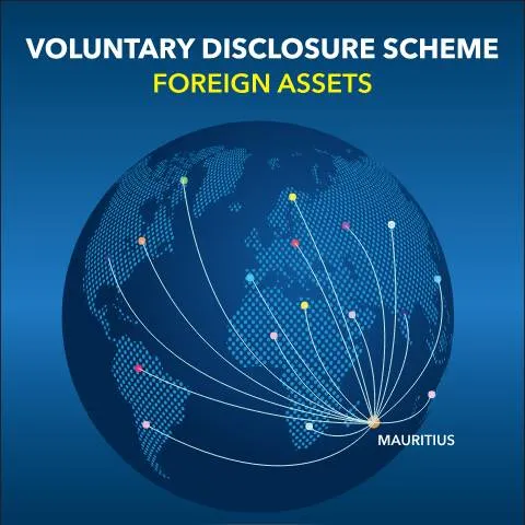 Document preview: Understanding the Voluntary Disclosure Scheme for Foreign Assets — Taxes (CERFA n°VD-FAPressAd)