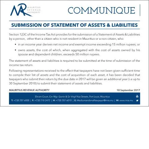 Document preview: Why Submitting Your Statement of Assets & Liabilities Matters — Government & admin (CERFA n°StatementofAssetsNLiabilities)