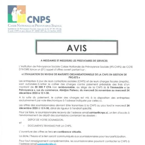 Aperçu du document Appel d'Offre pour l'Évaluation de la CNPS en Gestion de Projets — Démarches administratives