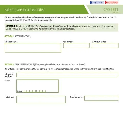 Document preview: Navigating Securities Transactions with the CFO SST1 Form — Legal & justice