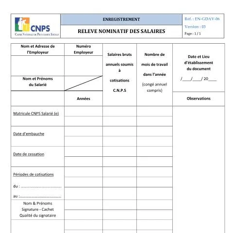 Aperçu du document L'importance du Relevé Nominatif des Salaires en Côte d'Ivoire — Emploi & travail
