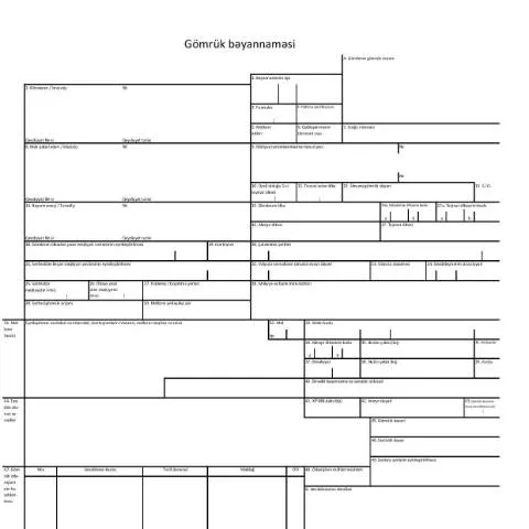 Document preview: Gömrük Bəyannaməsi: Əsas Vərəq və Onun İstifadəsi — İdarəetmə prosedurları