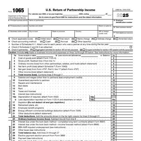 Document preview: A Comprehensive Guide to IRS Form 1065 for Partnerships — Taxes (CERFA n°1065)