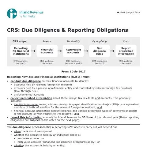 Document preview: Understanding Form IR1049 for CRS Compliance — Government & admin (CERFA n°IR1049)
