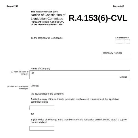 Document preview: Understanding the Role of Form 4.48 in Liquidation — Government & admin