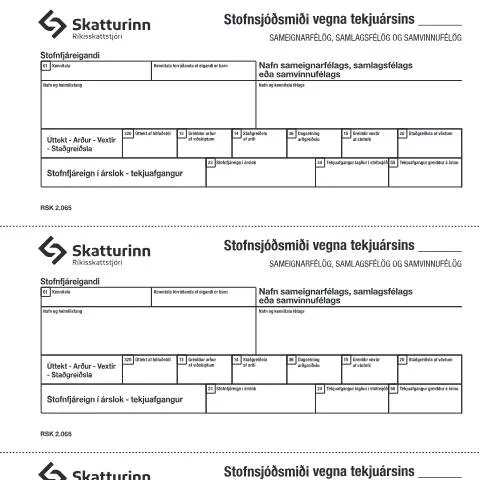 Document preview: Skýringar á RSK 2.065 Stofnsjóðsmiða — Skattar & fjármál