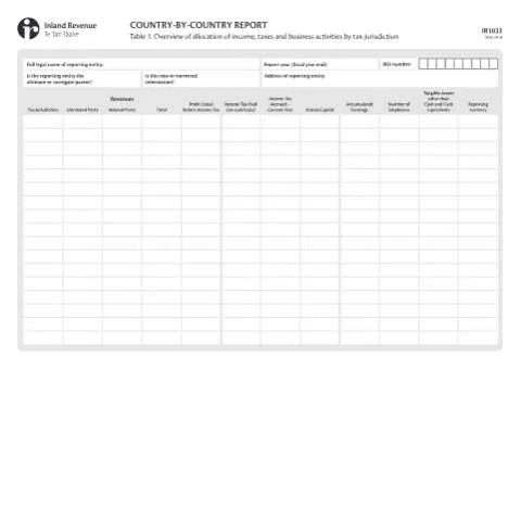 Document preview: Mastering the IR1032 Country-by-Country Reporting Form — Government & admin (CERFA n°IR1032)