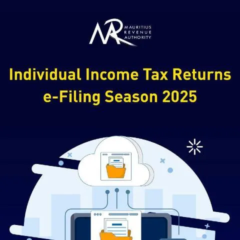 Document preview: Navigate Your Individual Income Tax Returns with e-Filing — Taxes (CERFA n°IndividualeFilingGuide)