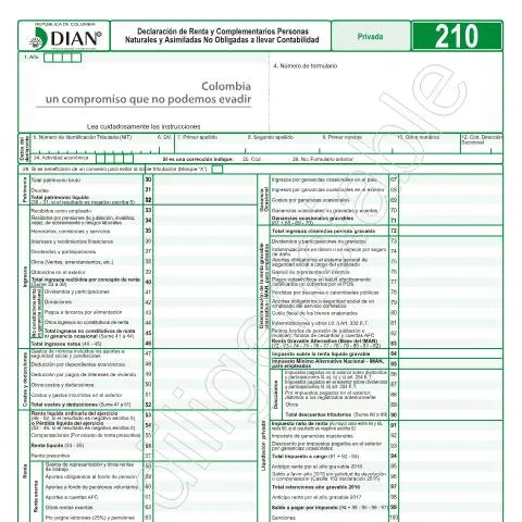 Vista previa del documento Importancia de la Declaración de Renta F210-2017 en Colombia — Impuestos (CERFA n°F210-2017)