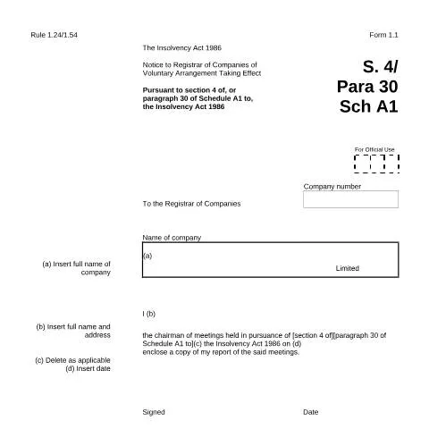Document preview: Understanding Form 1.1 for Voluntary Arrangements — Business