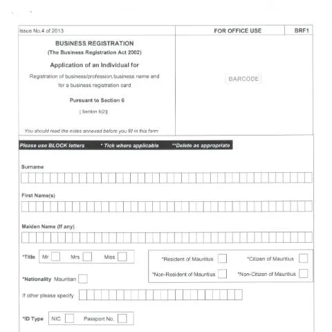 Document preview: Understanding the BRF1 Form for Business Registration — Government & admin (CERFA n°BRF1-1)