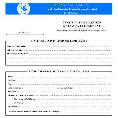Aperçu du document Comprendre le certificat IM-09 et son importance juridique — Emploi & travail (CERFA n°IM-09)