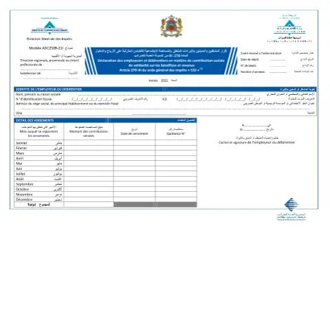 Aperçu du document Déclaration des revenus et bénéfices soumis à la contribution sociale — Impôts & fiscalité (CERFA n°ADC250B-21I)
