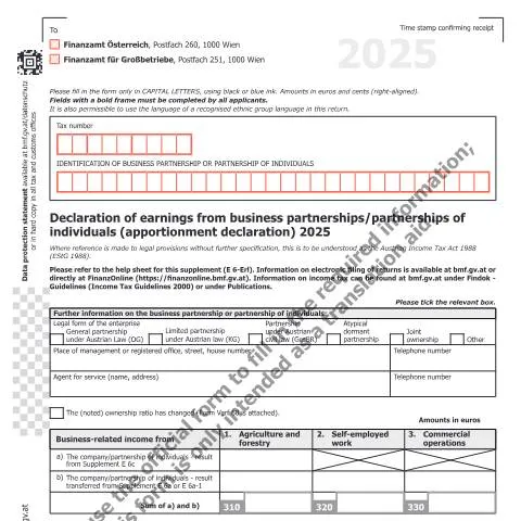 Dokumentvorschau: Wichtige Informationen zur E6-EN Erklärung für 2025 — Steuern (CERFA n°E6-EN)
