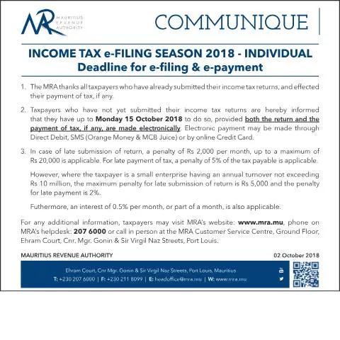 Document preview: Essential Guide to the 2018 Income Tax e-Filing Individual Extension — Taxes (CERFA n°IndividualExtension021018)