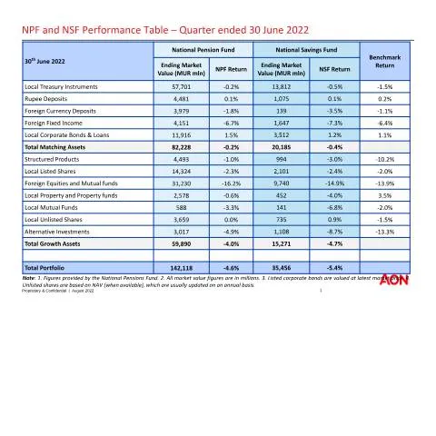 Document preview: Understanding NPF NSF Investment Performance for Q2 2022 — Government & admin (NPF-NSF-Investment-Performance-Q2-2022)