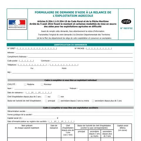 Aperçu du document Aide à la restructuration agricole : mode d'emploi du formulaire — Démarches administratives (CERFA n°16015*02)