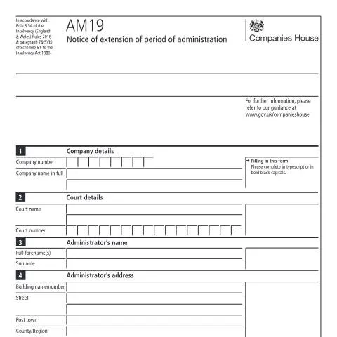 Document preview: Understanding the AM19 Document in Corporate Administration — Business