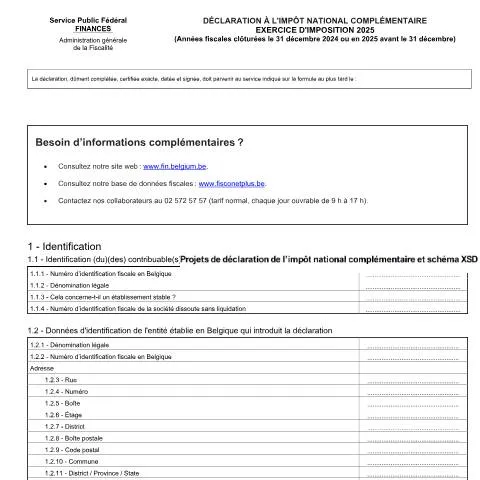 Aperçu du document Comprendre la Déclaration P2-QDMTT pour l'Imposition 2025 — Impôts & fiscalité (CERFA n°169-pillar-2-qdmtt-fr-ex-2025)