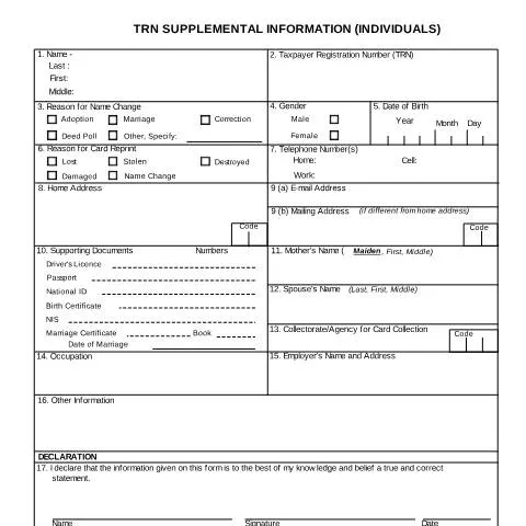 Document preview: Understanding the TRN Supplemental Information Form for Jamaican — Government & admin (CERFA n°supp_info_indi)