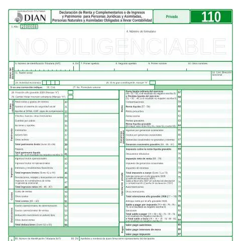 Vista previa del documento Proceso de Declaración de Renta F110-2009 en Colombia — Impuestos (CERFA n°F110-2009)