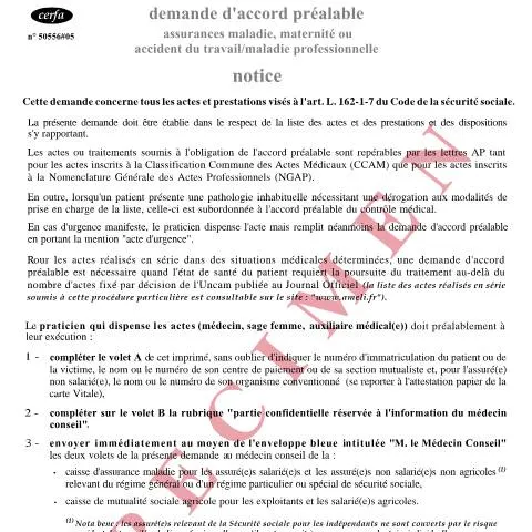 Aperçu du document Accord préalable assurance maladie : procédure et formulaire — Santé (CERFA n°12040*04)