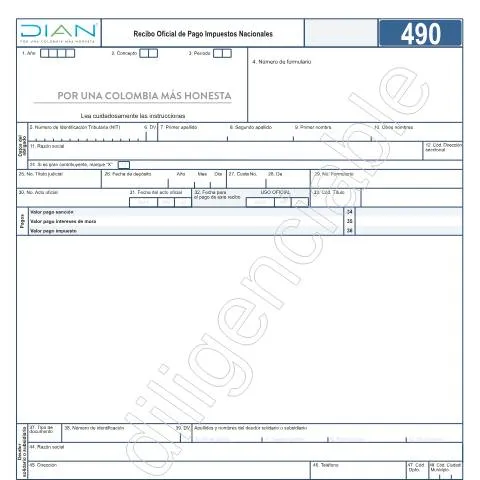 Vista previa del documento Recibo Oficial de Pago Impuestos Nacionales 2021 — Impuestos (CERFA n°F490-2021)
