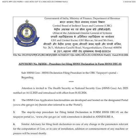 Document preview: Comprehensive Guide to HSNS Declaration Filing Procedure — Taxes (CERFA n°HSNS_Declaration_filing_procedure)