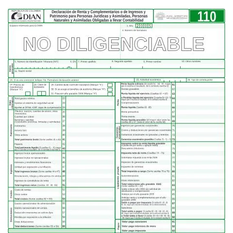Vista previa del documento Importancia del Formulario F110-2006 en la Tributación Colombiana — Impuestos (CERFA n°F110-2006)